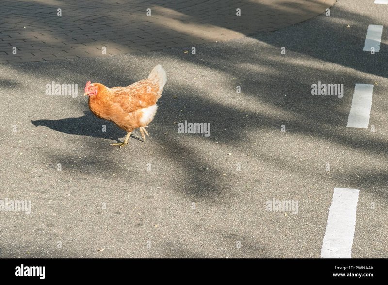Chicken road a Italy